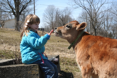Ava loves spending time with the youngest calves.